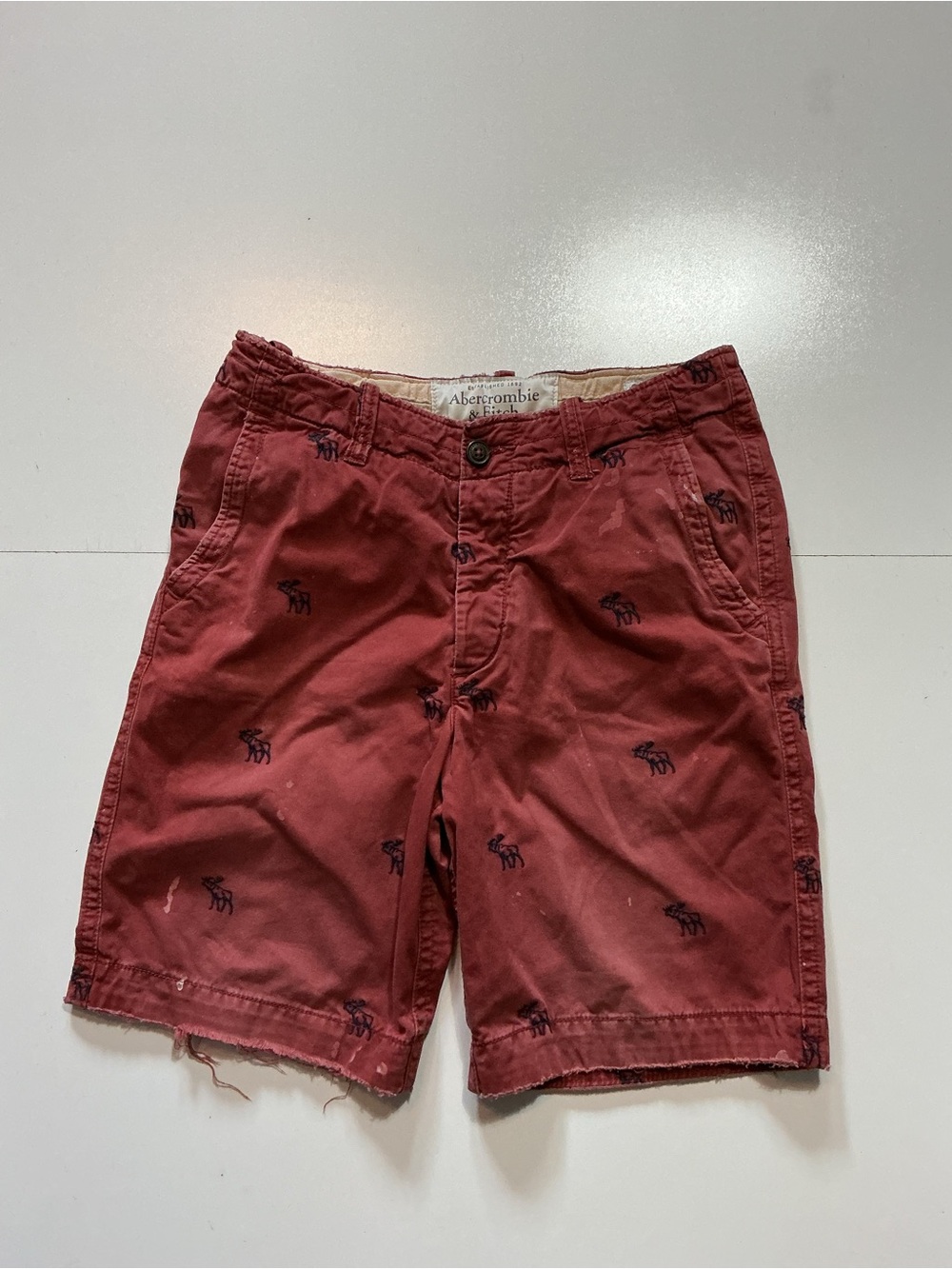 Abercrombie & Fitch New York Vintage
Y2K Moose Embroidered Cargo Utility Shorts